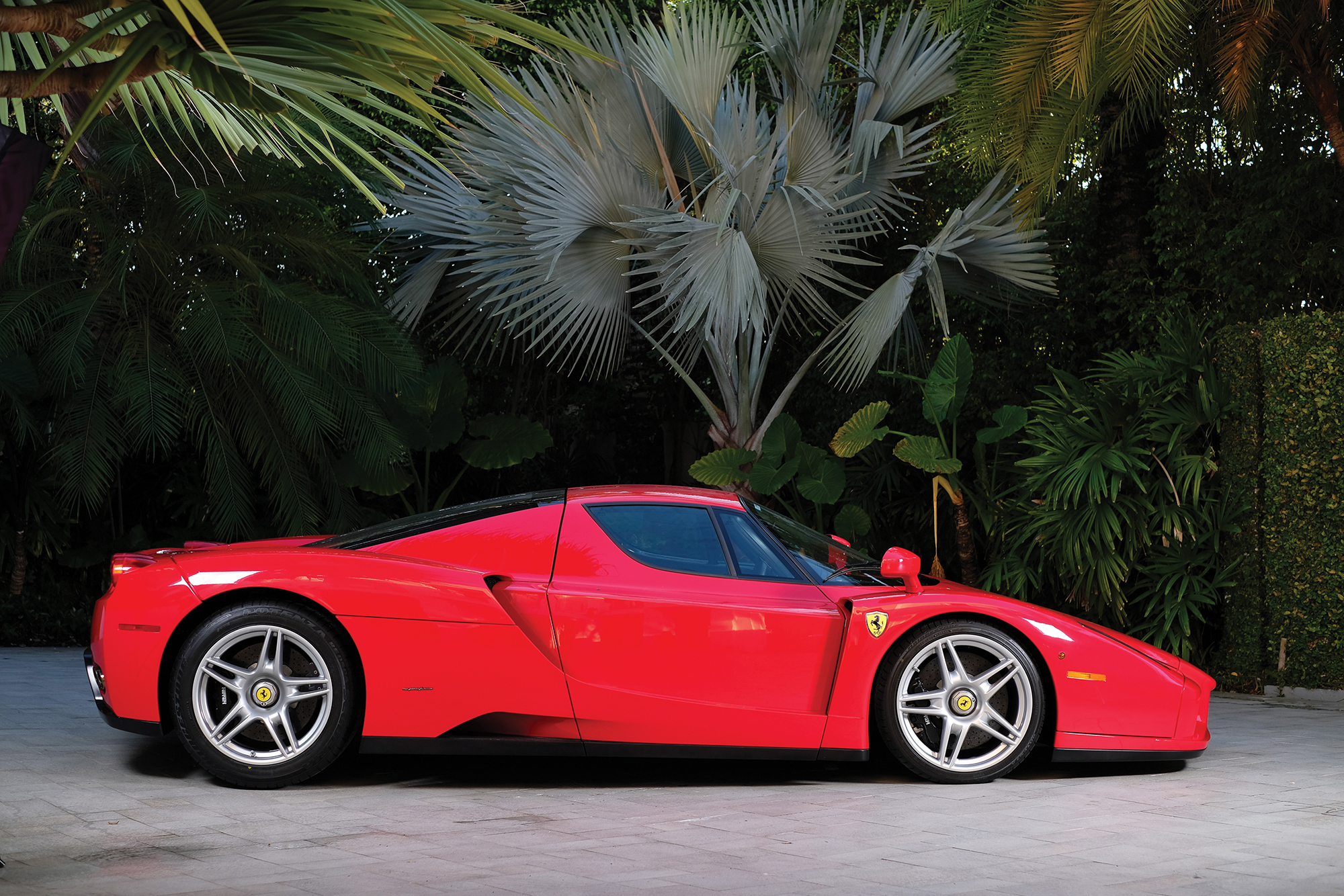 Ferrari Enzo 1960