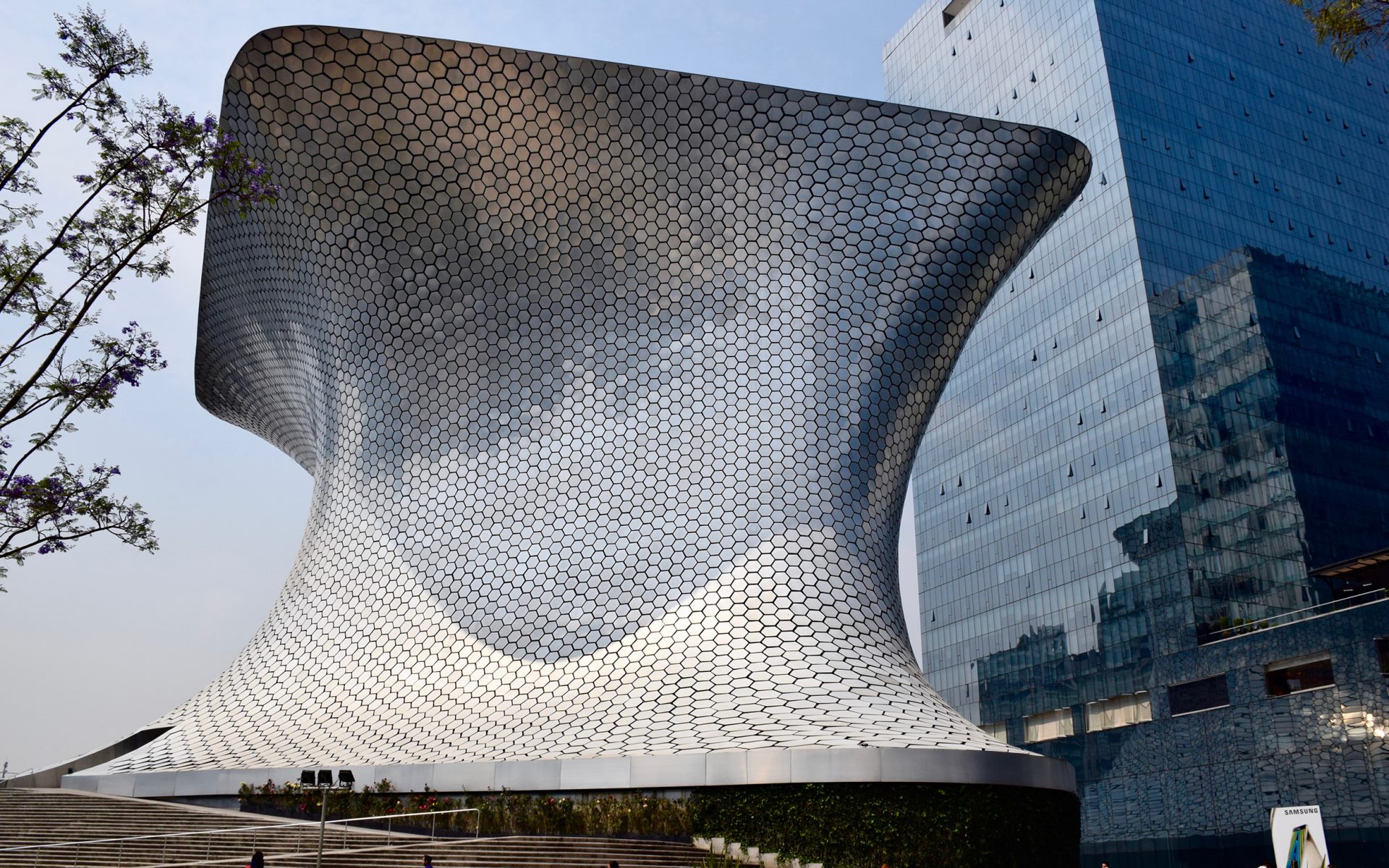 Mexico City Art Guide: Must-See Museums, Galleries, Street Art and