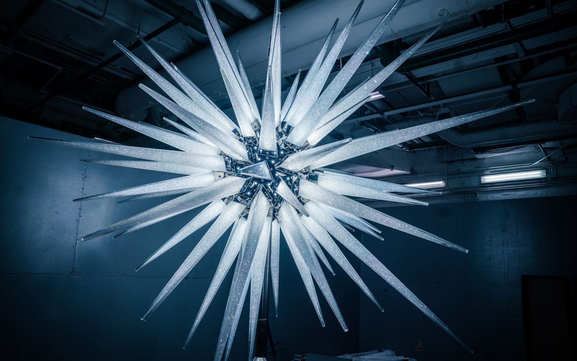 verschijnen Of anders Voorwaarde Daniel Libeskind Discusses Creating Rockefeller Center's Christmas Tree Star  - Galerie