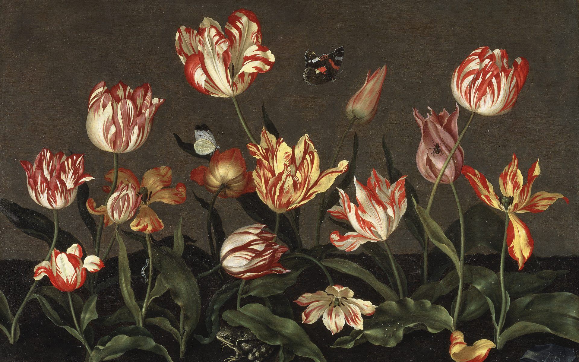 famous tulip painting