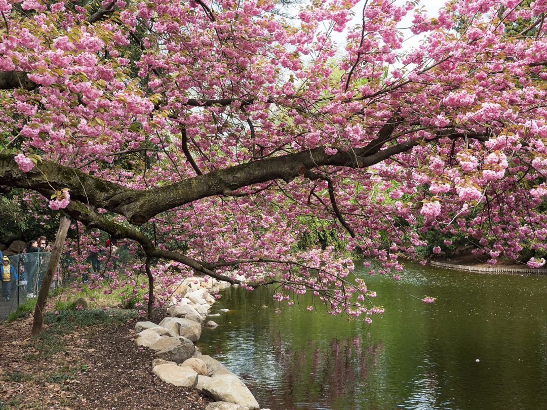 America’s Most Picturesque Gardens Grace USPS’s Latest