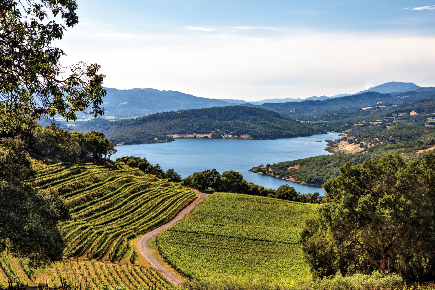 Why Napa Valley Is the Drivable Destination to Visit Right Now