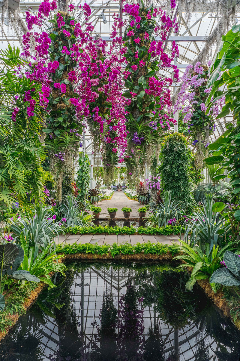 The Orchid Show Returns with Another Striking Jeff Leatham Installation