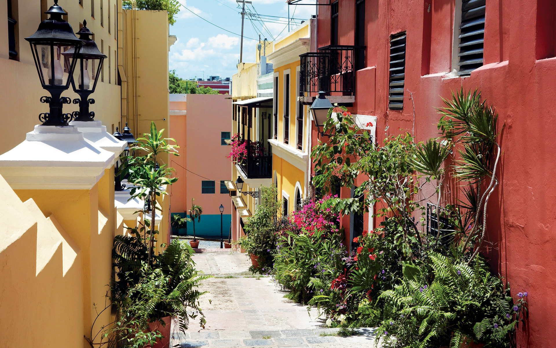 Puerto Rico Public Art Project, Artists