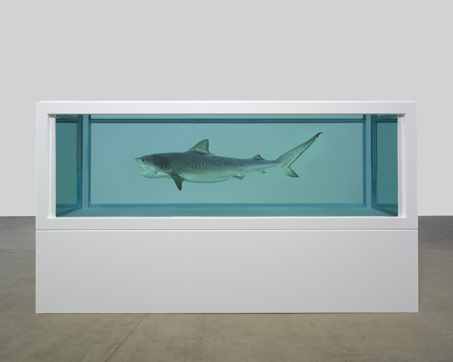 Damien Hirst, Heaven, (2008) is on the list of museum exhibitions to see this summer