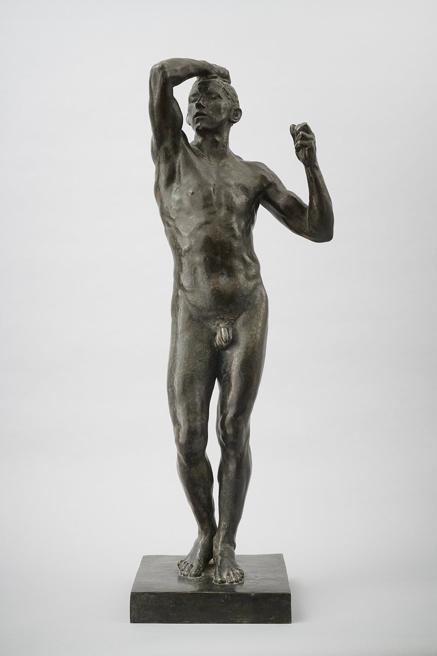 DAVID LEVY Rodin l'age de bronze