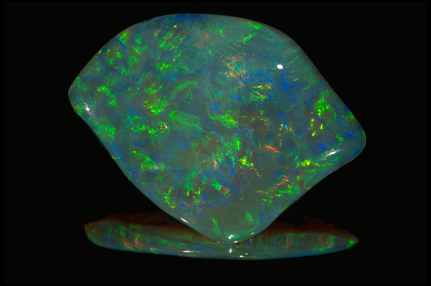 Photograph of the Zale Dark Jubilee opal (G8827) with reflection