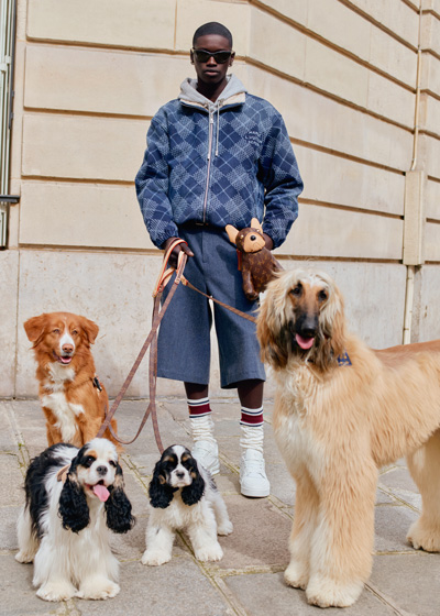 The Louis Vuitton Dog Lvers Collection.