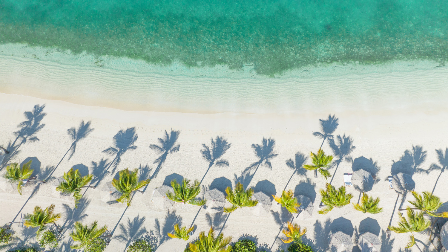 Jumby Bay shoreline aerial view.