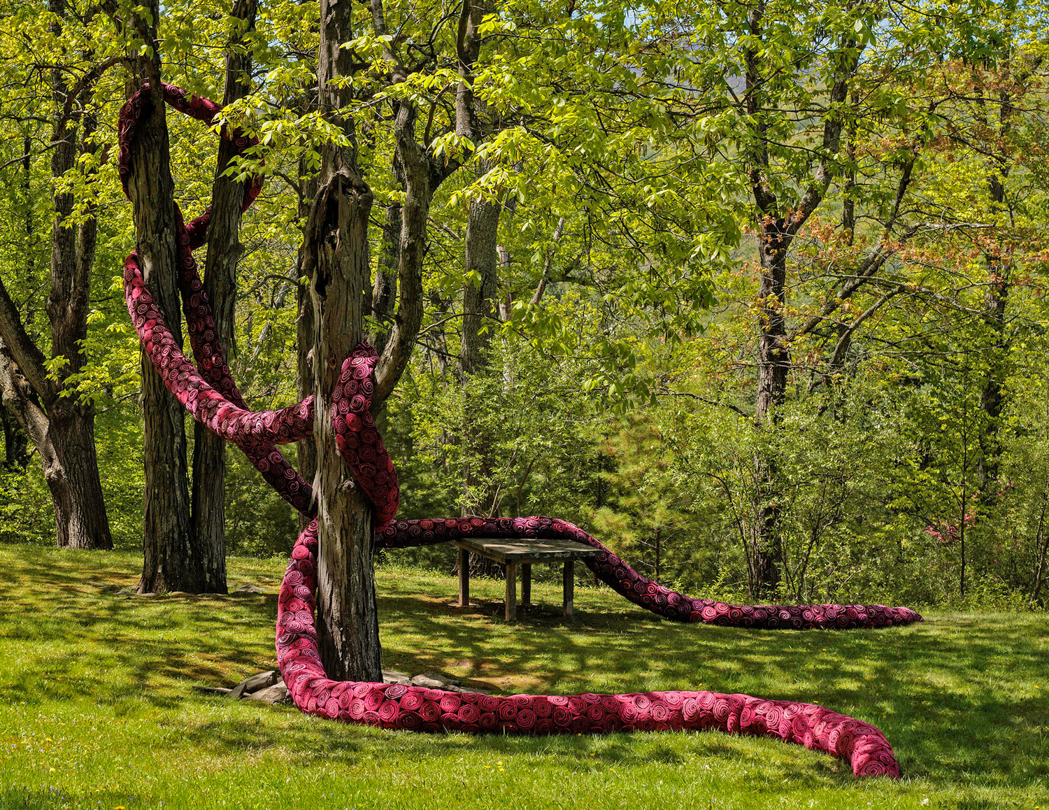 Installation view of artwork in nature.