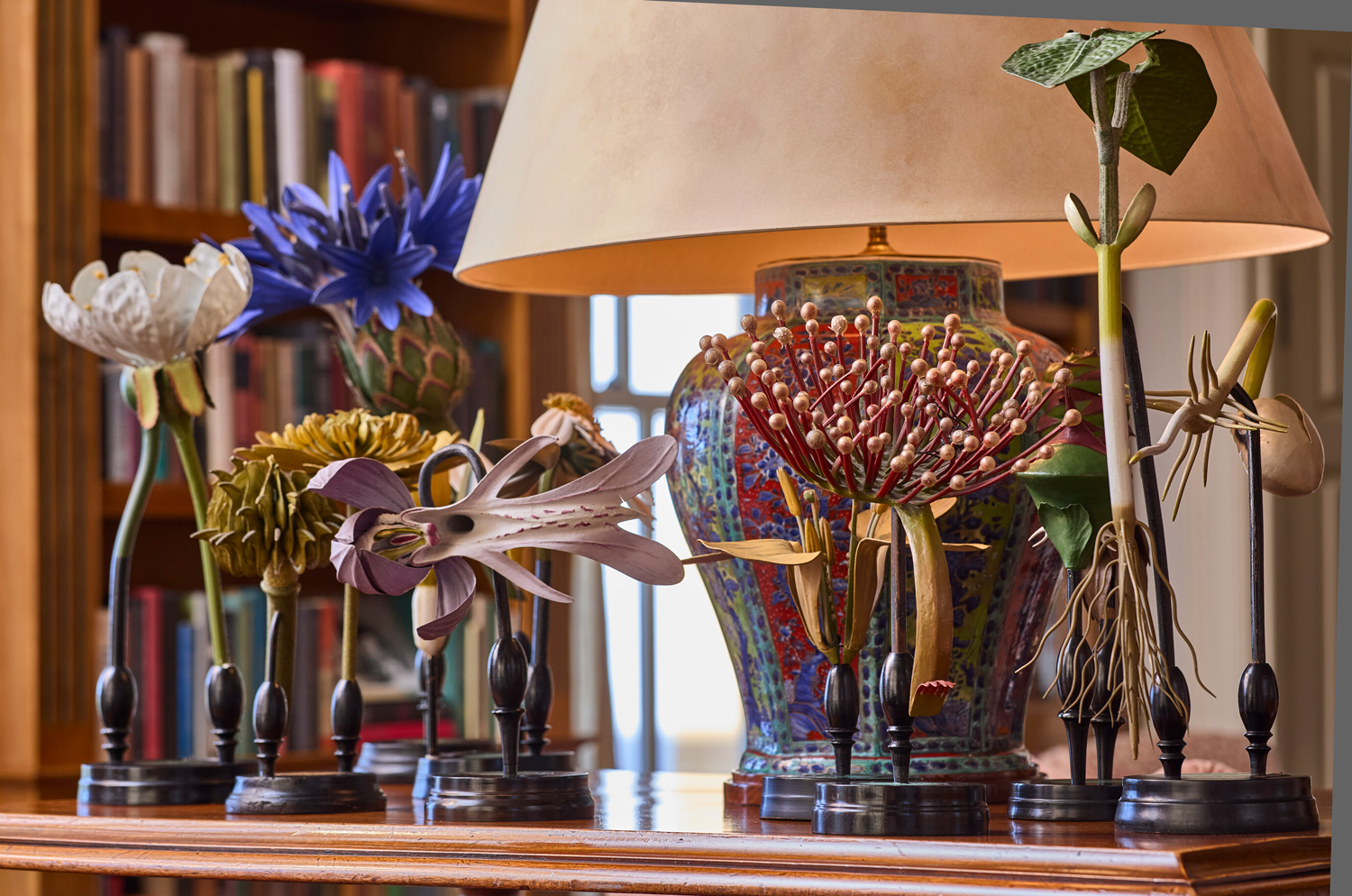 Three sets of German papier mache botanical models by Robert and Reinhold Brendel, late 19th, early 20th century.