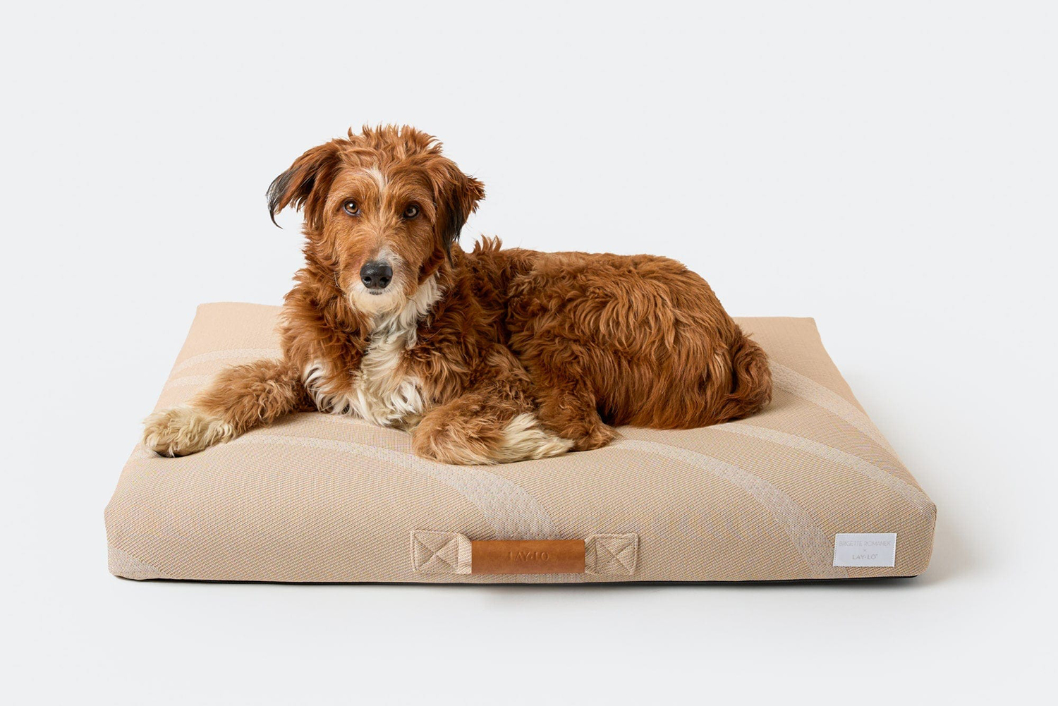 Taupe dog bed by Brigette Romanek for Lay Lo.