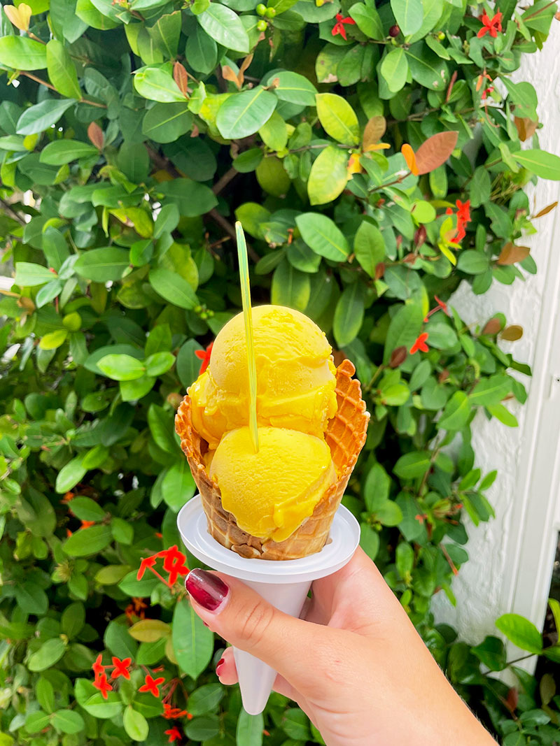 Two scoops of gelato in a cone.