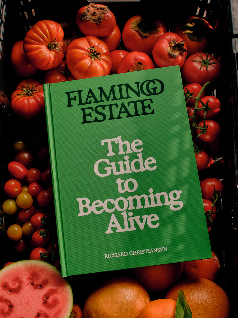 Flamingo Estate: The Guide to Becoming Alive (Chronicle Books) by Richard Christiansen.