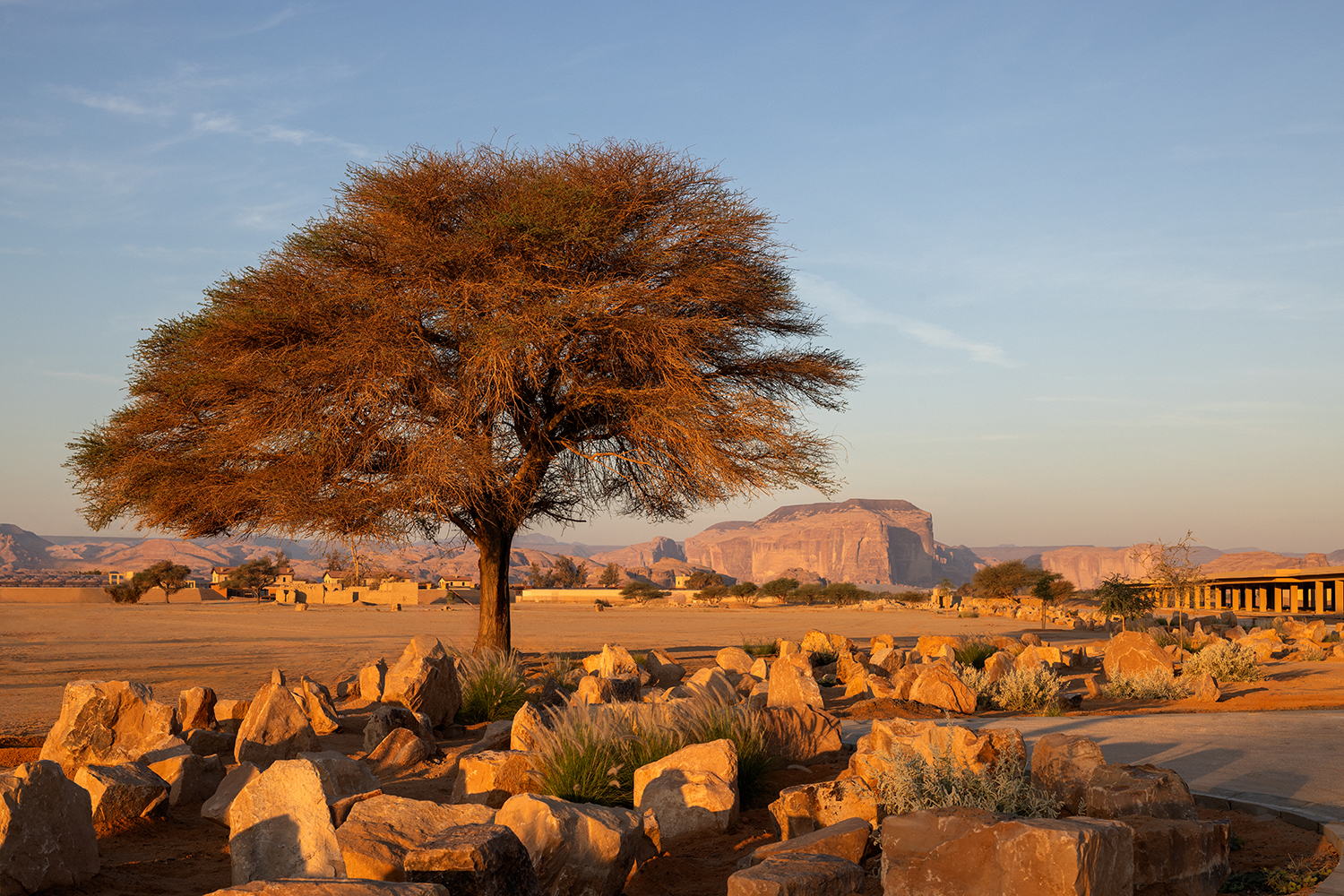 Landscape outside The Chedi Hegra hotel at AlUla.