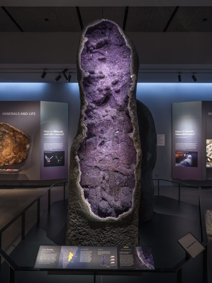 An amethyst geode at the AMNH.