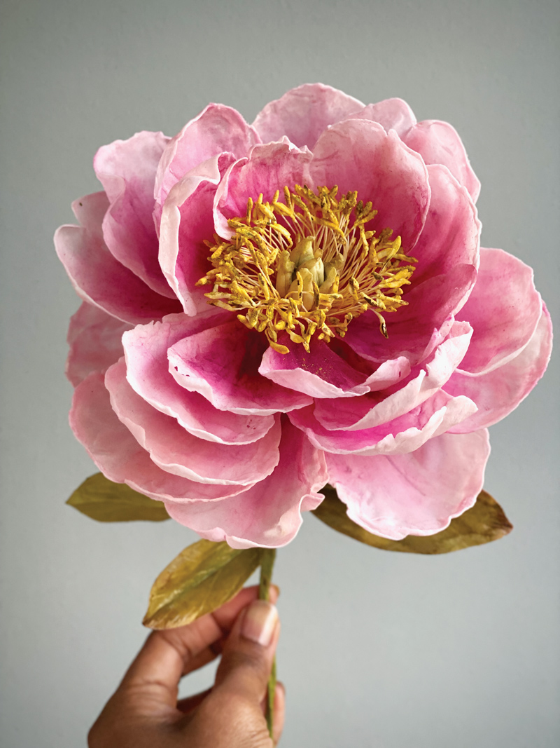 One of Natasja Sadi's peonies.