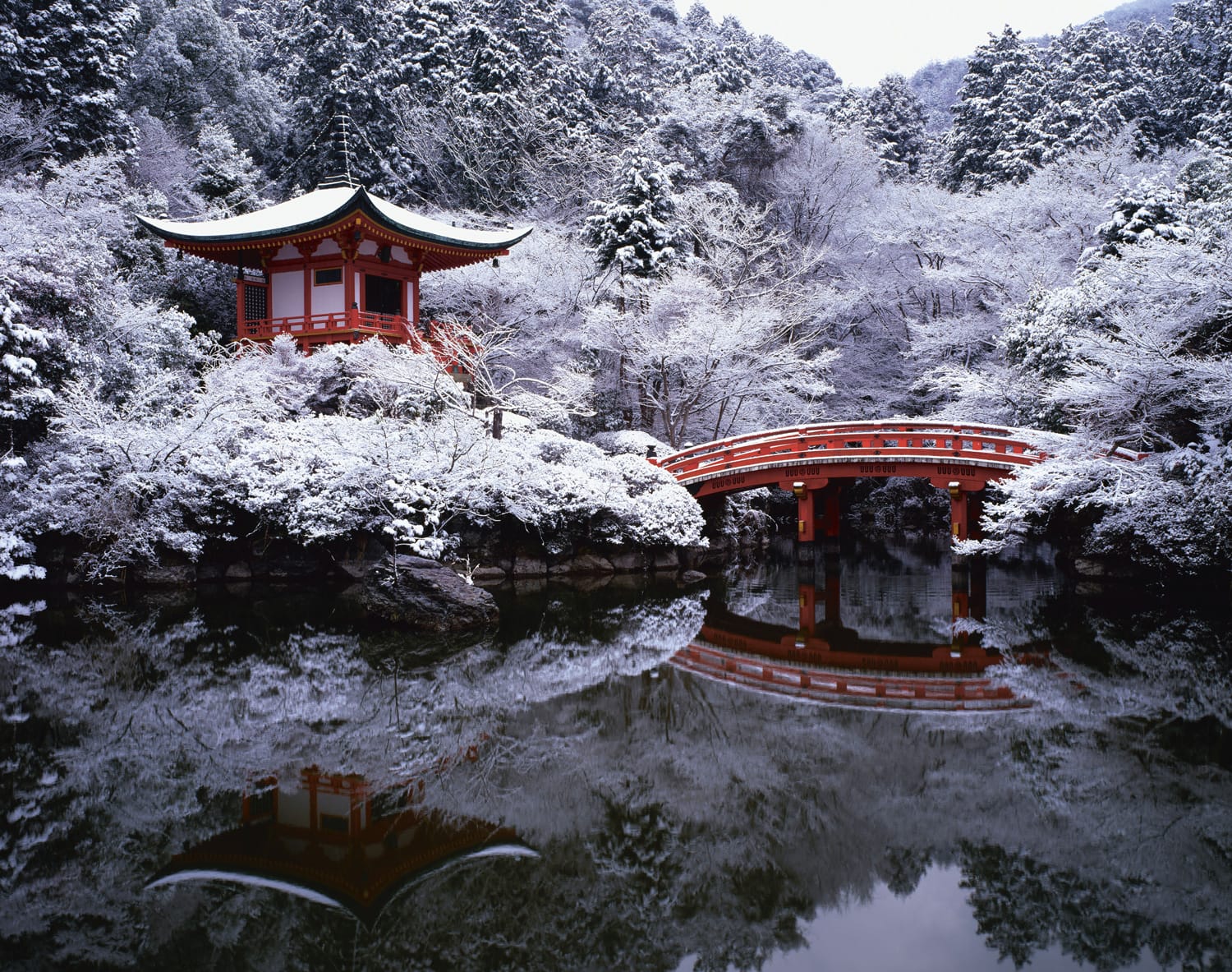 Discover the Incredible Art of Japanese Gardens - Galerie Magazine