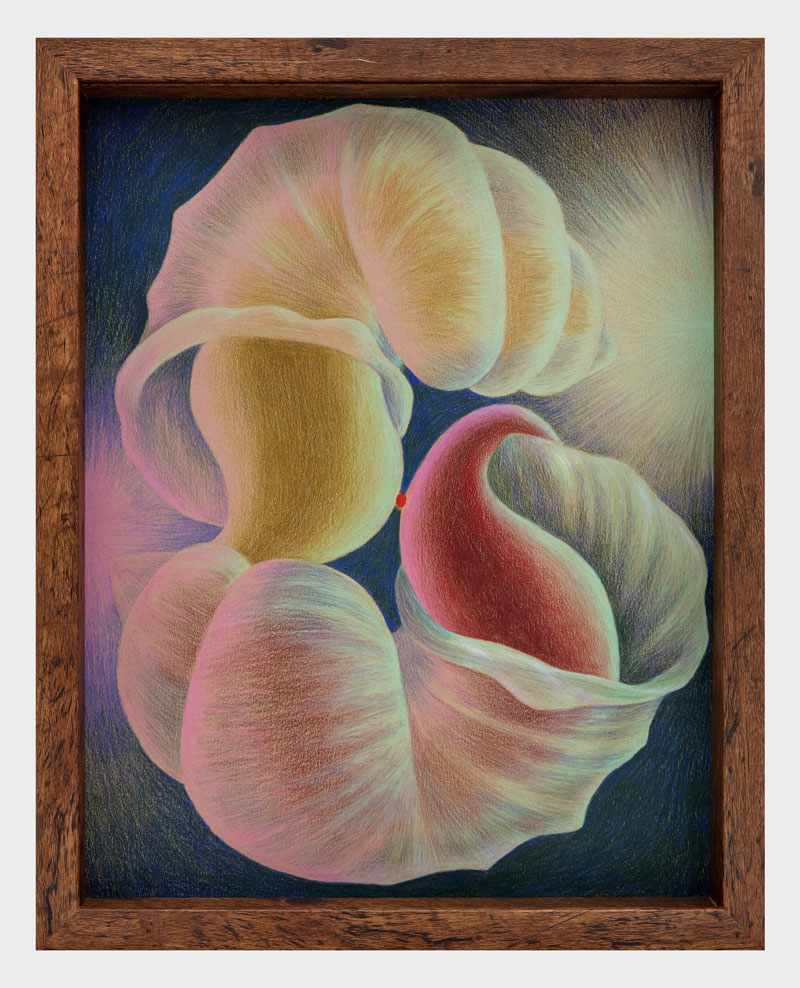 Nianxin Li, Gentle touch, 2025.