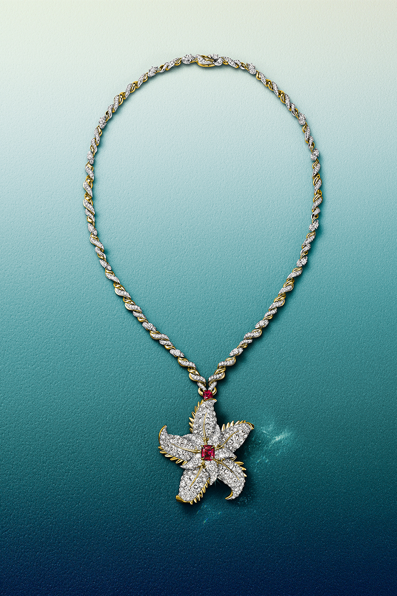 Selections from the “Sea of Wonder” collection.