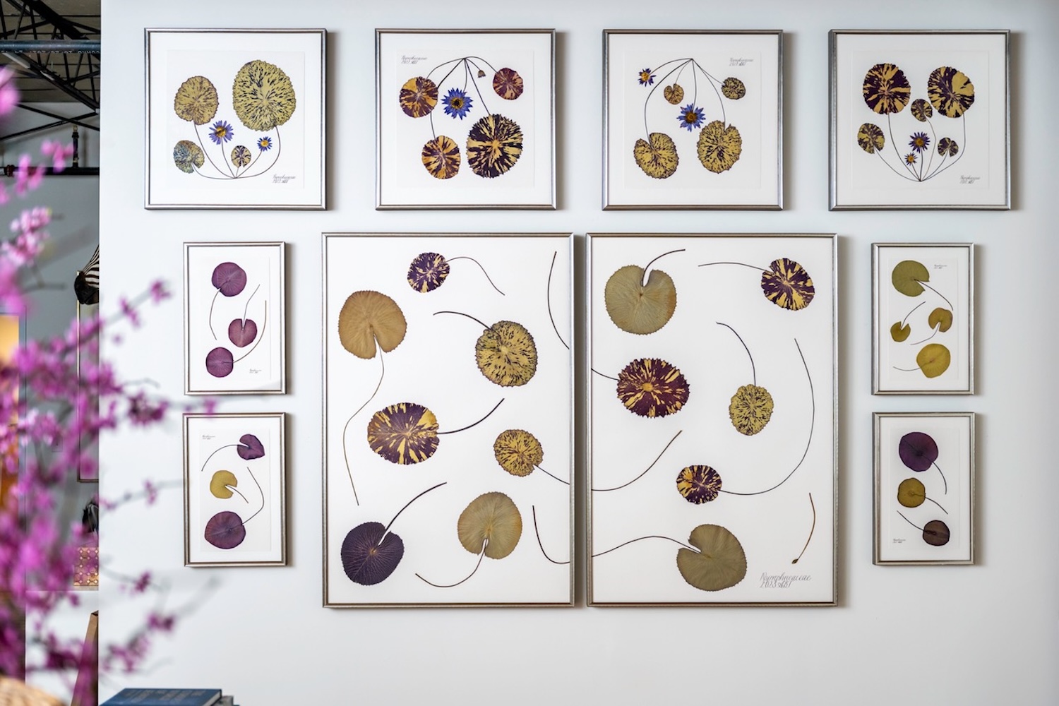 Botanical works by Anne Blackwell Thompson of Blackwell Botanicals.